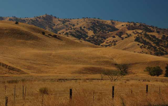 Corral Hollow Road